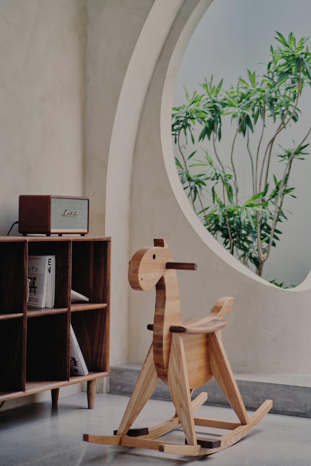 Home green-plant-on-brown-wooden-shelf-43fbj61mybm